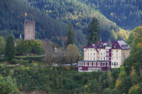 Гостиница Hotel Schloss Hornberg, Хорнберг